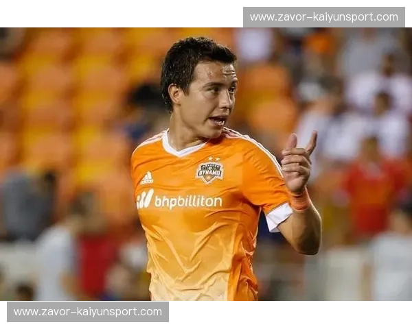 极光之城的逆袭与德克萨斯的橙色风暴:温哥华白帽vs休斯顿,一场足球界的“冰与火之歌” 极光之城的逆袭与德克萨斯的橙色风暴:温哥华白帽vs休斯顿,一场足球界的“冰与火之歌”